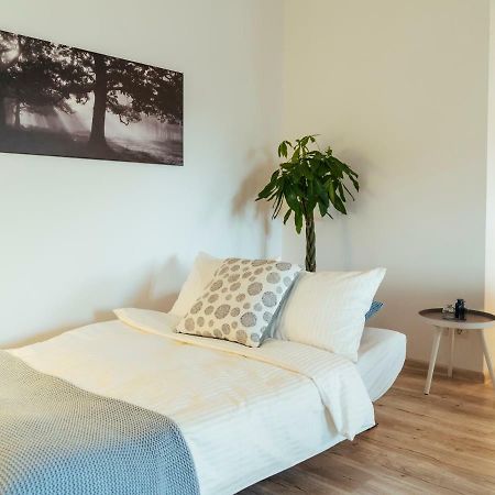 Bright And Spacious Central Apartment- Piata Amzei Bukurešť Exteriér fotografie
